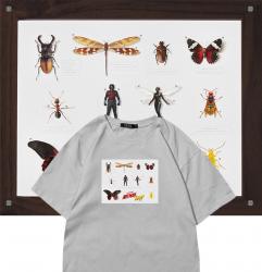 Ant Man Tshirts Ant-Man and the Wasp Printed T Shirts For Girl